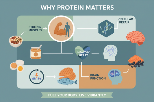 Why Protein Is So Important for Our Body (And Why You Shouldn’t Ignore It)